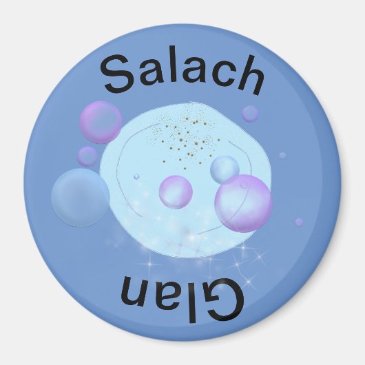 Spülmagnete Magnet (Vorne)