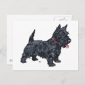 Spunky Scottie Dog Postkarte (Vorne/Hinten)