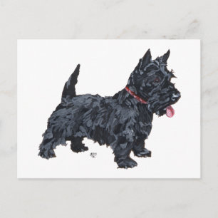Spunky Scottie Dog Postkarte
