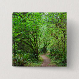 Spur im Rotholz-Wald Button