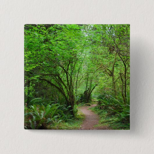Spur im Rotholz-Wald Button (Vorderseite)