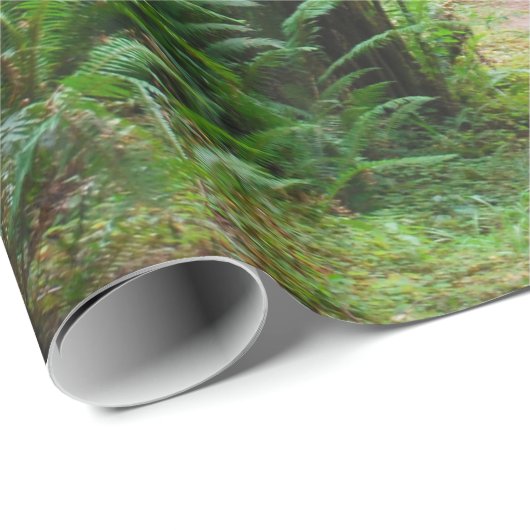 Spur im Rotholz-Wald Geschenkpapier (Rolleneckpunkt)