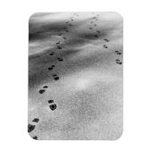 Spuren im Schnee Magnet (Vertikal)