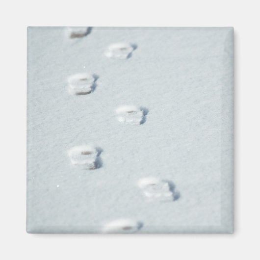 Spuren im Schnee Magnet (Vorne)