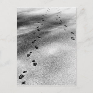 Spuren im Schnee Postkarte