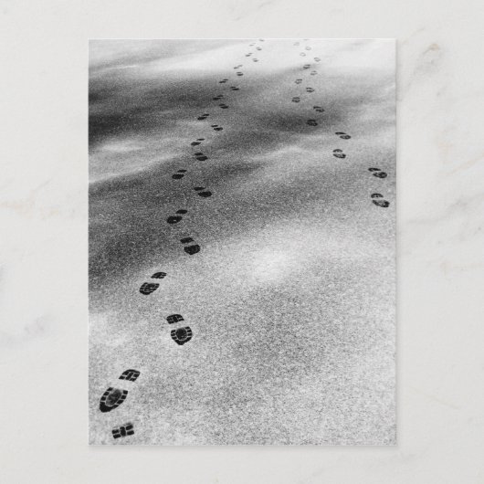 Spuren im Schnee Postkarte (Vorderseite)