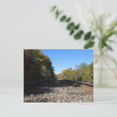 Spuren in den Herbst Postkarte (Stehend Vorderseite)