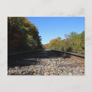 Spuren in den Herbst Postkarte
