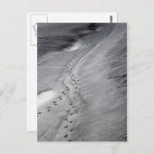Spuren Postkarte (Vorne/Hinten)