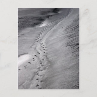 Spuren Postkarte