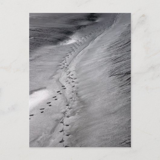 Spuren Postkarte (Vorderseite)