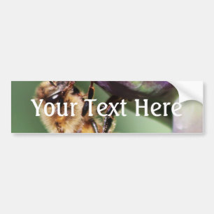 Spürende kleine Biene Autoaufkleber