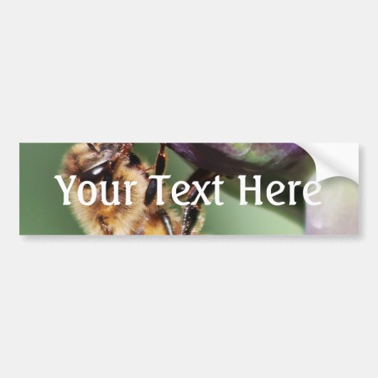 Spürende kleine Biene Autoaufkleber (Vorne)