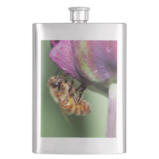 Spürende kleine Biene Flachmann (Vorderseite)