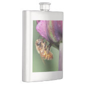 Spürende kleine Biene Flachmann (Rechts)