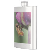 Spürende kleine Biene Flachmann (Links)