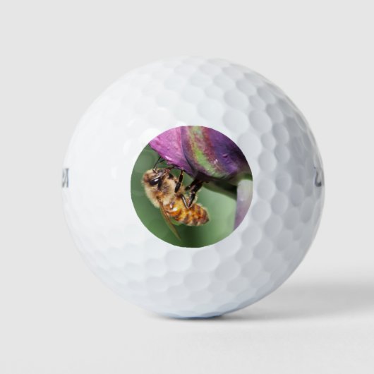 Spürende kleine Biene Golfball (Vorderseite)