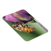 Spürende kleine Biene Magnet (Rechte Seite)