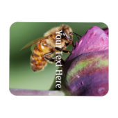 Spürende kleine Biene Magnet (Horizontal)