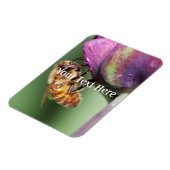 Spürende kleine Biene Magnet (Linke Seite)