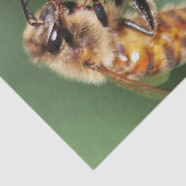 Spürende kleine Biene Seidenpapier (Ausschnitt)