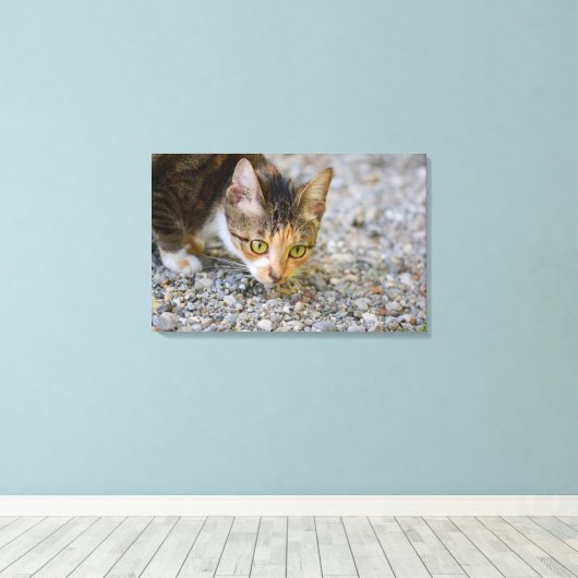 Spurensuche Leinwanddruck (Insitu (Holzboden))