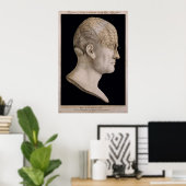 Spurzheims Sprachkarte Poster (Heimbüro)