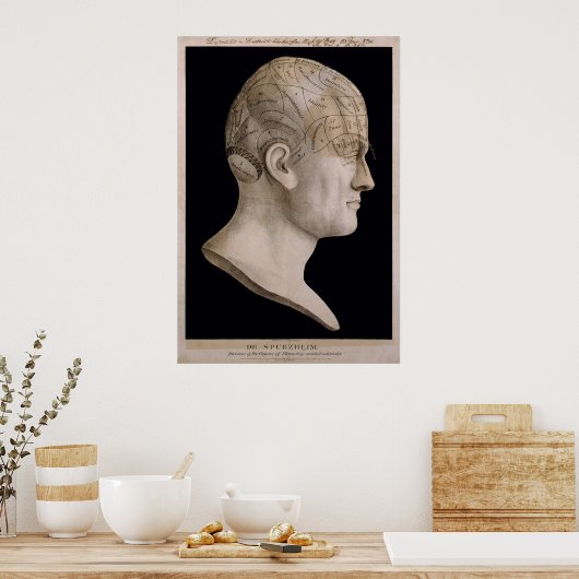 Spurzheims Sprachkarte Poster (Küche)