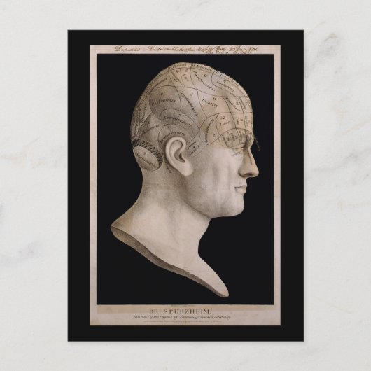 Spurzheims Sprachkarte Postkarte (Vorderseite)