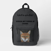Spy Cat Funny