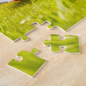 Spy Crabs Learning How Weather Station Works Puzzle (Seite)