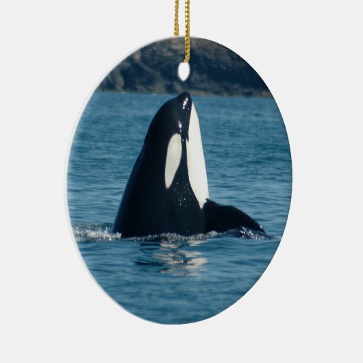 Spyhop Verzierung Keramikornament (Rechts)