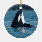 Spyhop Verzierung Keramikornament (Vorne)