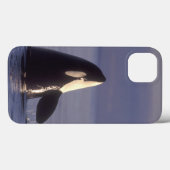 Spyhopping Orca Killer Whale (Orca Orcinus) in der Case-Mate iPhone Hülle (Rückseite (Horizontal))