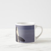 Spyhopping Orca Killer Whale (Orca Orcinus) in der Espressotasse (Rechts)