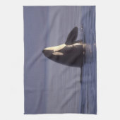 Spyhopping Orca Killer Whale (Orca Orcinus) in der Geschirrtuch (Vertikal)