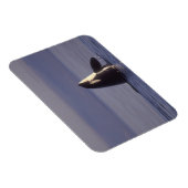 Spyhopping Orca Killer Whale (Orca Orcinus) in der Magnet (Rechte Seite)