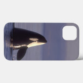 Spyhopping Schwertwal-Killerwal (Schwertwal Case-Mate iPhone Hülle (Rückseite (Horizontal))