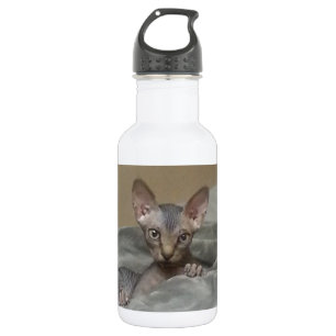 Spynx Kätzchen Edelstahlflasche