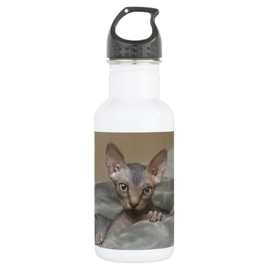 Spynx Kätzchen Edelstahlflasche (Vorderseite)