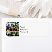 SQ_AfricanVioletsForSaleAfrikanische Violetten zum (Insitu)