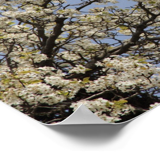 Squad Goals, Fun, Party, Liebe, Cooles Poster (Ecke)