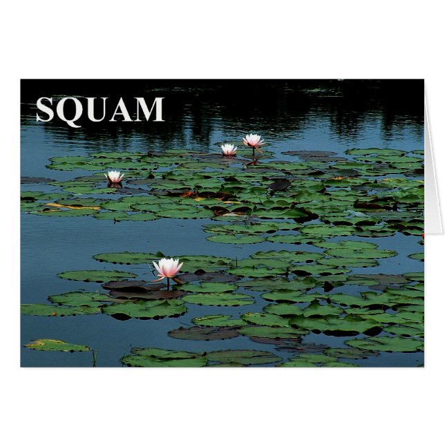 Squam Lake Lilies (Vorderseite (Horizontal))