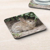 Square Bunny Getränkeuntersetzer (Linke Seite)