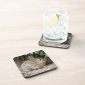 Square Bunny Getränkeuntersetzer (Rechte Seite)