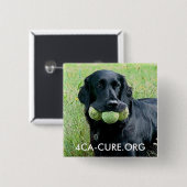 Square Button (Vorne & Hinten)