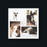 Square Custom Family Pet 4-Foto-Leinwand Leinwanddruck<br><div class="desc">Capture the year's Erinnerungen in einem anpassbaren quadratischen Druck mit vier Ihrer Lieblings-Haustier-Fotos,  Name und Jahr.</div>