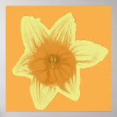 Square Daffodil Poster (Vorne)