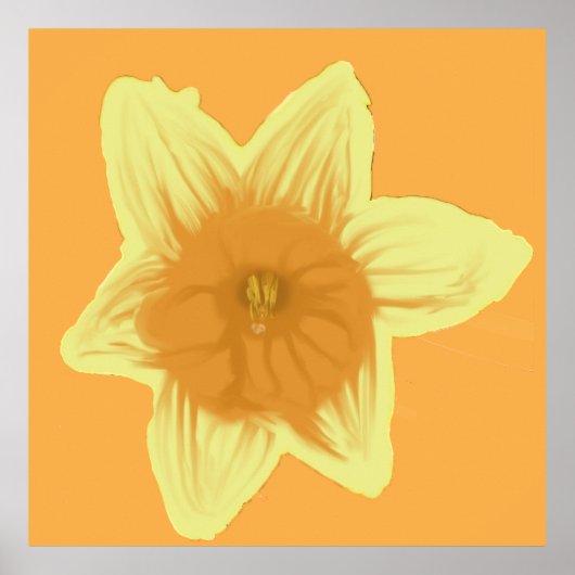 Square Daffodil Poster (Vorne)