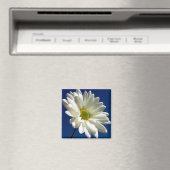 Square Daisy Magnet (In Situ (Geschirrspüler))